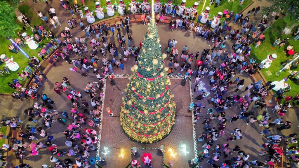 Encendido de la Navidad