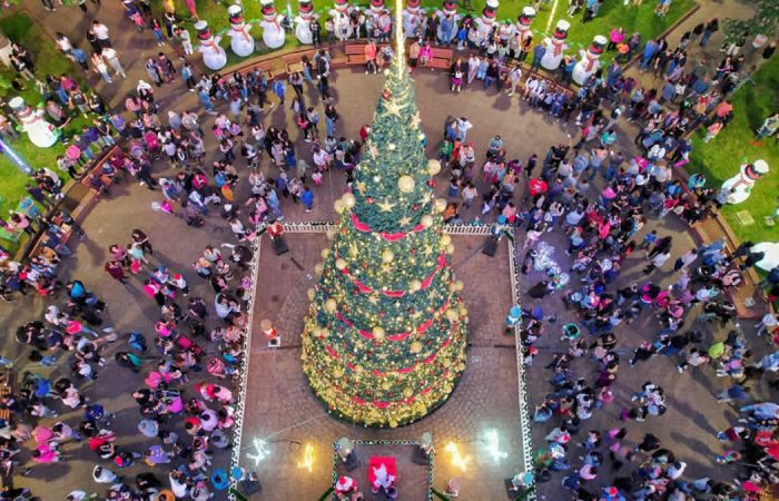 Encendido de la Navidad